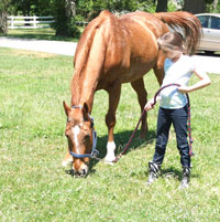 camp grazing grazing